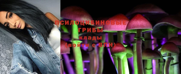 спайс Баксан