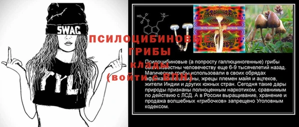 спайс Баксан