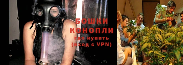 спайс Баксан