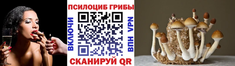 Галлюциногенные грибы MAGIC MUSHROOMS  где продают   Высоцк 